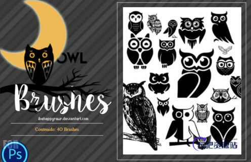 卡哇伊卡通猫头鹰图形PS笔刷素材下载-玩吧资源站