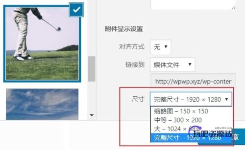 WordPress图片设置技巧-玩吧资源站