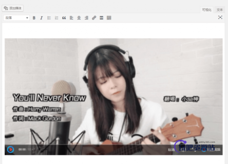 WordPress插入国内第三方视频的方法(优酷、腾讯视频等)-玩吧资源站