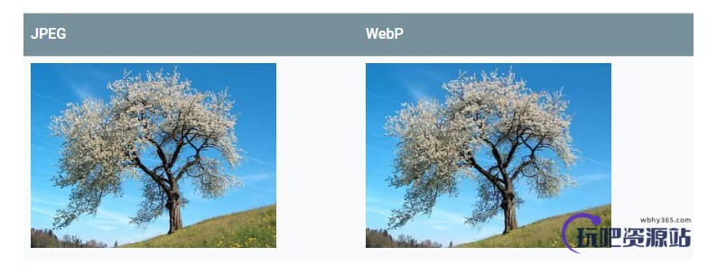 图片[1]-使用ShortPixel为你的WordPress配置WebP图片-玩吧资源站