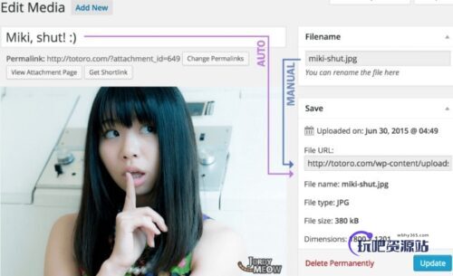 WordPress修改图片文件名方法-玩吧资源站