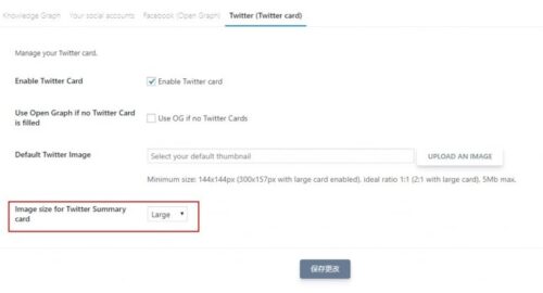 SEOPress设置Twitter分享大缩略图效果-玩吧资源站