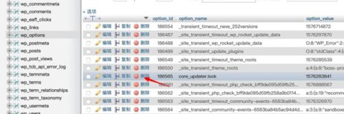 WordPress另一更新正在进行解决方法-玩吧资源站
