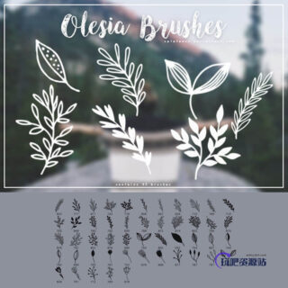 小清新手绘植物花纹图案PS笔刷素材下载-玩吧资源站