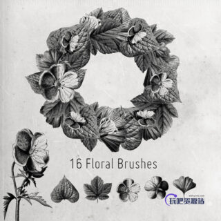 16种枫树、银杏、菩提树、海葵鲜花花圈PS笔刷素材-玩吧资源站