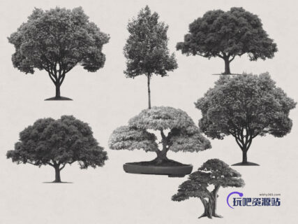 大树、树木、盆栽盆景抠像Photoshop笔刷素材-玩吧资源站