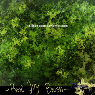 免费的常青藤、藤蔓PS植物笔刷-玩吧资源站