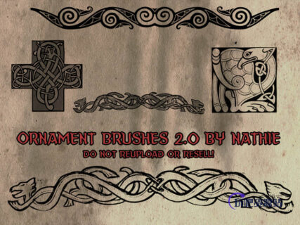 高分辨率欧式图腾花纹素材PS笔刷-玩吧资源站