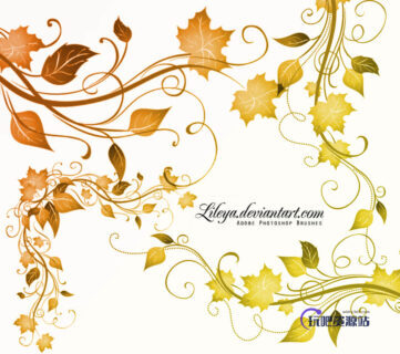 漂亮的艺术植物叶子藤蔓效果Photoshop植物印花笔刷-玩吧资源站