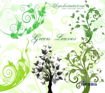 漂亮优美的植物绿叶藤蔓PS笔刷素材-玩吧资源站