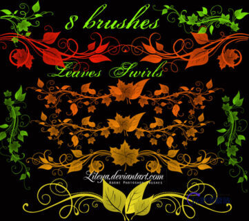 漂亮的枫叶、植物叶子花纹分割栏、叶子纹饰边框图案PS笔刷素材-玩吧资源站