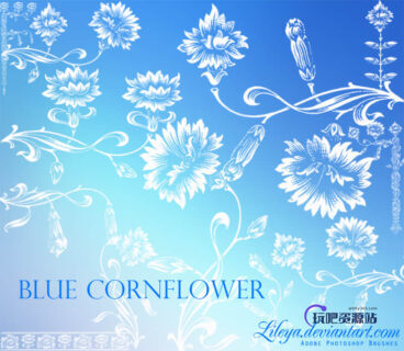 漂亮的矢车菊印花图案、植物花纹底纹PS笔刷下载-玩吧资源站