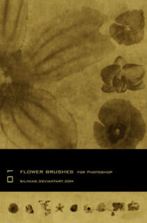 鲜花、花朵造影效果PS笔刷下载-玩吧资源站