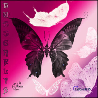 漂亮的魔幻蝴蝶图形Photoshop笔刷素材下载-玩吧资源站