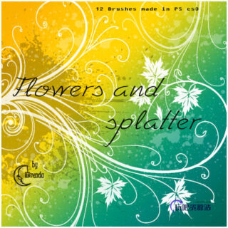 漂亮的线条叶子印花图案PS笔刷素材-玩吧资源站