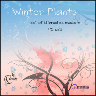 雪花与植物藤蔓枝条花纹艺术图案PS笔刷素材-玩吧资源站