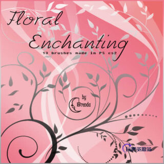 漂亮的漩涡枝条绿叶植物花纹图案笔刷Photoshop素材下载-玩吧资源站