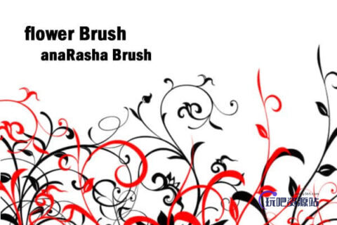 漂亮优雅的手绘茎叶花纹图案PS笔刷素材-玩吧资源站