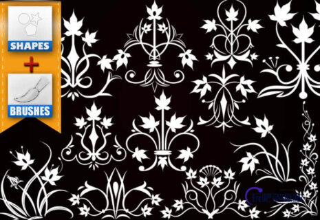 漂亮精美的植物花卉图案Photoshop印花笔刷-玩吧资源站