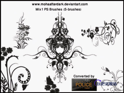 漂亮的植物艺术系花纹图案素材PS印花笔刷-玩吧资源站