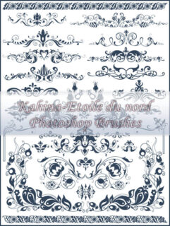 超级贵族式植物花纹photoshop笔刷素材-玩吧资源站