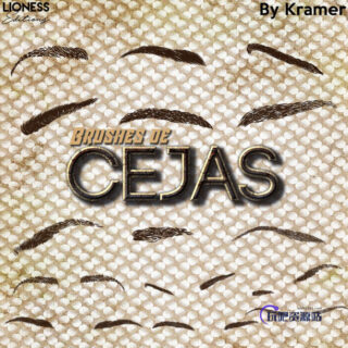 手绘各种女士眉毛Photoshop眉毛笔刷-玩吧资源站