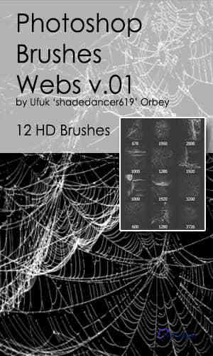 12种高清蜘蛛网、蛛网Photoshop笔刷素材