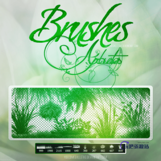 绿色青草、小草、草丛植物Photoshop草地笔刷-玩吧资源站