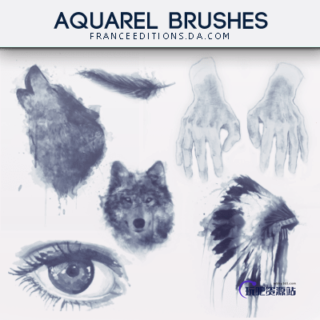 时尚非主流水彩狼、羽毛、手、印第安酋长、眼睛图案Photoshop照片美化笔刷-玩吧资源站