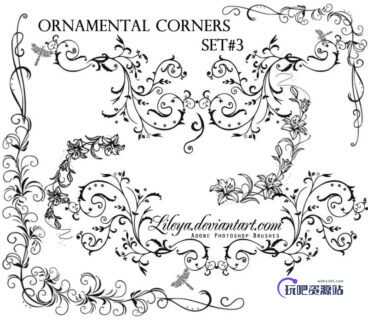 漂亮的藤蔓式植物花纹图案、花纹藤甲图形Photoshop笔刷-玩吧资源站