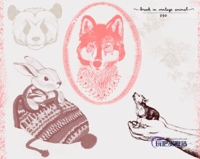 熊猫、兔子、雪狼等PS照片美图笔刷下载-玩吧资源站