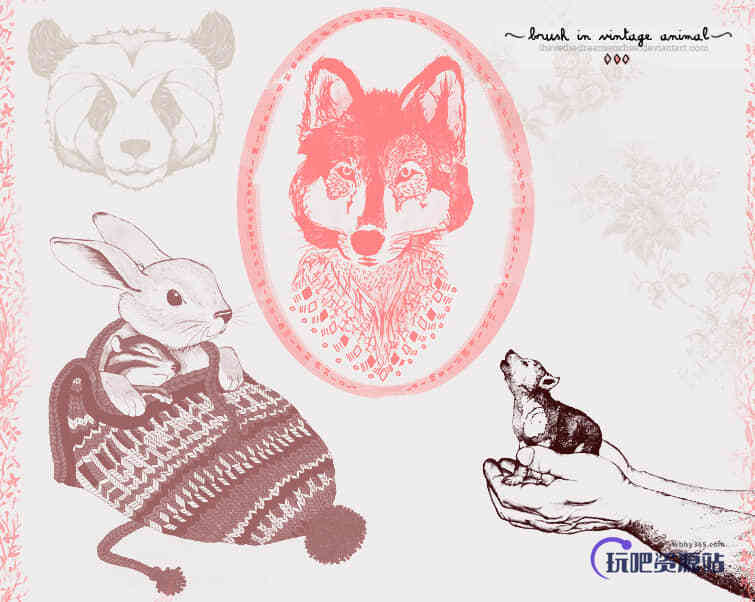 熊猫、兔子、雪狼等PS照片美图笔刷下载