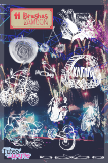 11种版刻复古式草莓、海螺、马头、鲜花、蝴蝶、钥匙锁头图案PS笔刷-玩吧资源站