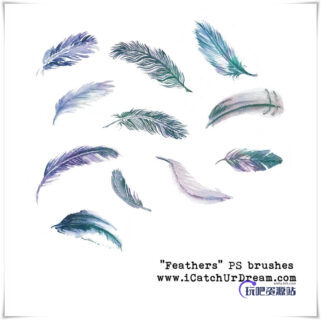 漂亮的水彩、水墨羽毛效果Photoshop手绘羽毛笔刷-玩吧资源站
