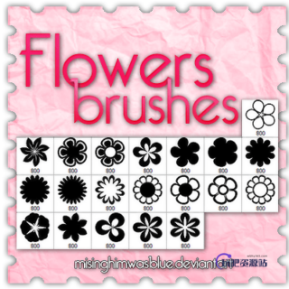 可爱鲜花花朵图案Photoshop花朵笔刷-玩吧资源站