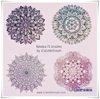 4种漂亮的富丽堂皇民族花纹图案Photoshop欧美贵族印花笔刷-玩吧资源站