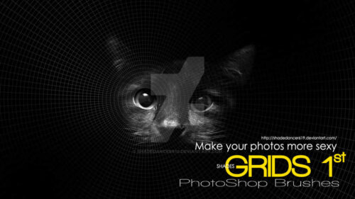 环形曲线背景线条效果Photoshop笔刷素材-玩吧资源站