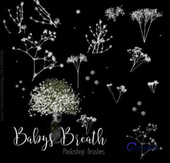 满天星植物花朵图案Photoshop笔刷素材-玩吧资源站