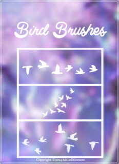 飞鸟图形、天空中鸟儿队列Photoshop笔刷-玩吧资源站