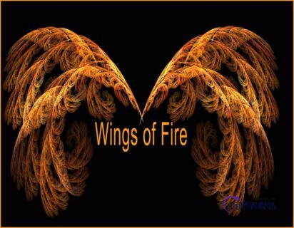 酷炫吊炸天分形翅膀造型PS笔刷-玩吧资源站