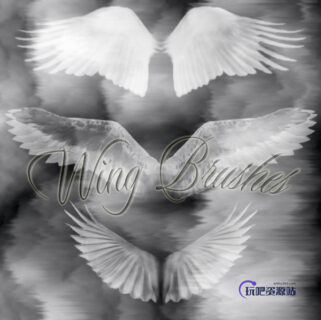 天使翅膀、羽翼翅膀PS笔刷-玩吧资源站