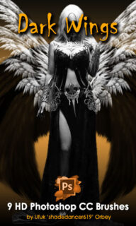 9种高清羽翼翅膀、天使羽毛翅膀PS笔刷-玩吧资源站