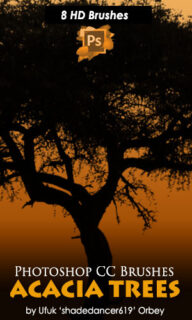 8种高清非洲大树、树木剪影PS笔刷-玩吧资源站