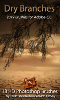树杈、树枝效果PS笔刷-玩吧资源站