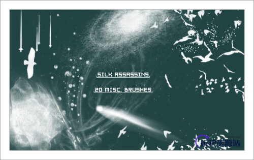 银河系宇宙背景、天空飞鸟、鸟群剪影PS笔刷-玩吧资源站