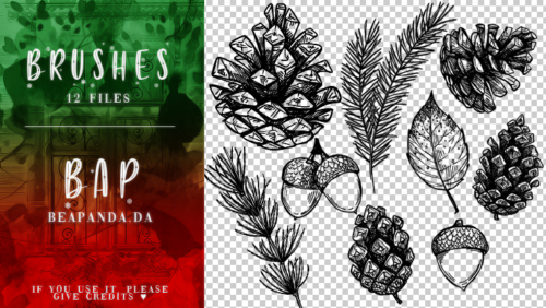 12种手绘植物、针松叶、松果、坚果图形PS笔刷素材-玩吧资源站