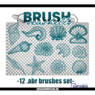 手绘贝壳、海螺、海星等海洋生物元素Photoshop笔刷素材-玩吧资源站