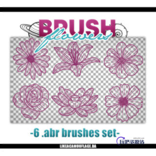 手绘6种鲜花花朵图案PS笔刷素材-玩吧资源站