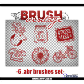 6种手绘生活元素电话机、麋鹿头像、自行车、玻璃罐子等PS笔刷素材（PNG文件格式）-玩吧资源站