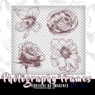 4种手绘花朵、盛开鲜花图案PS笔刷包下载(PNG格式)-玩吧资源站